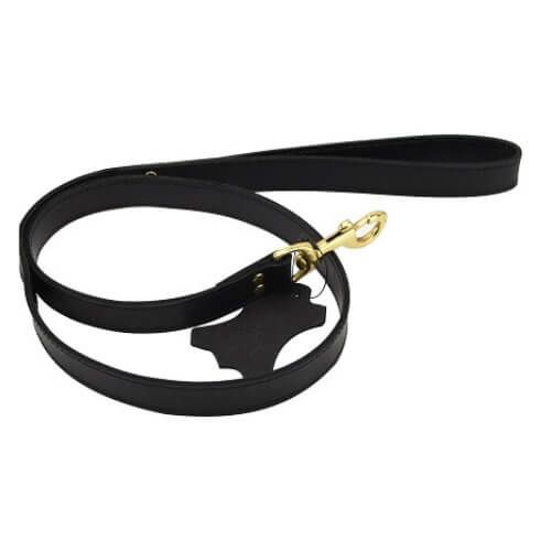 Bound Noir Nubuck Leather Leash for Couples - Play
