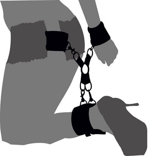 Loving Joy Hog Tie Set for Couples - Play